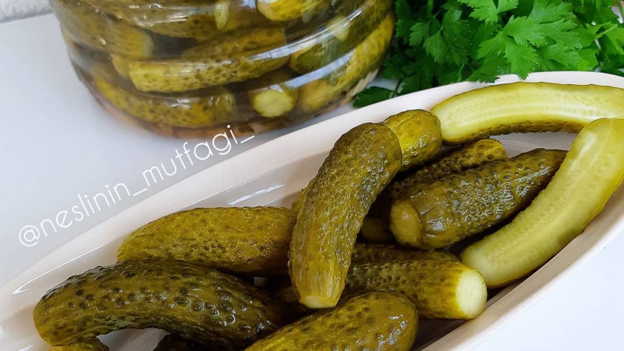 SALATALIK TURŞUSU TARİFİ
