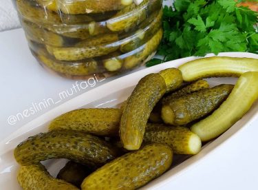 SALATALIK TURŞUSU TARİFİ